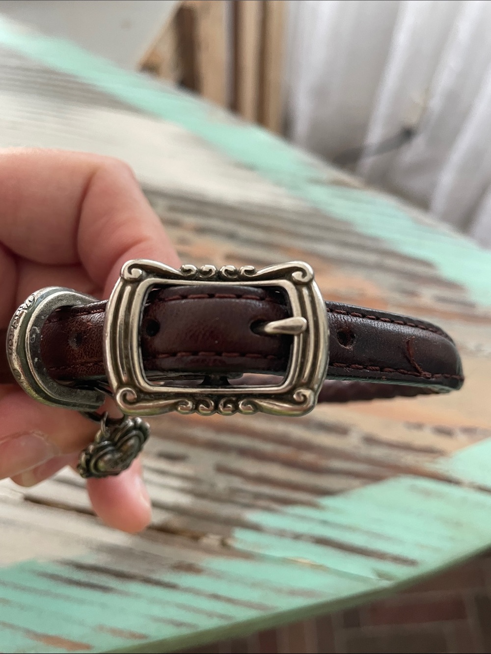 Brighton Dog Collar - Size Small - Picture 6 of 8